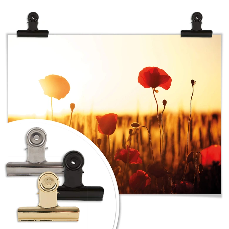 Poster Sonnenflut im Mohnfeld 