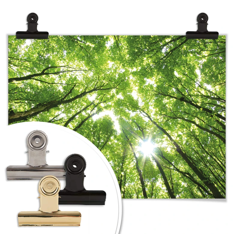 Poster Sunny Forest 2 