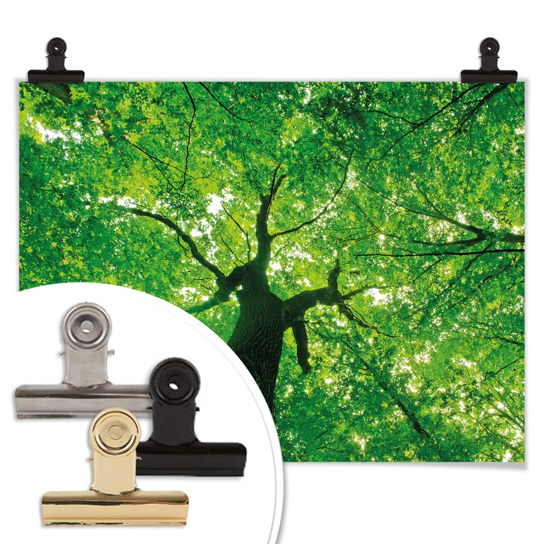 Poster Under the Trees 