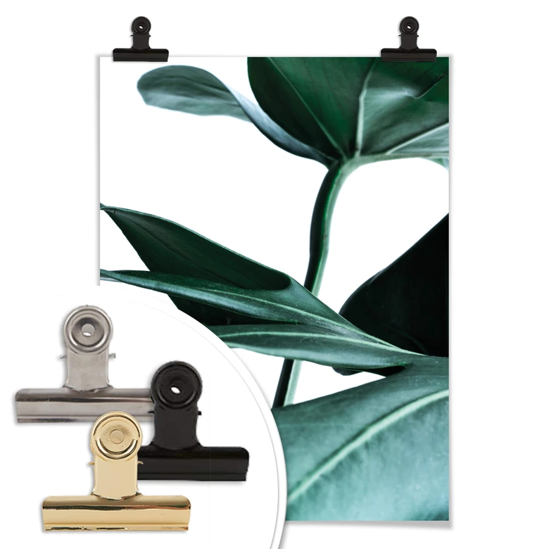 Poster - Urban Jungle - Monstera Deliciosa 