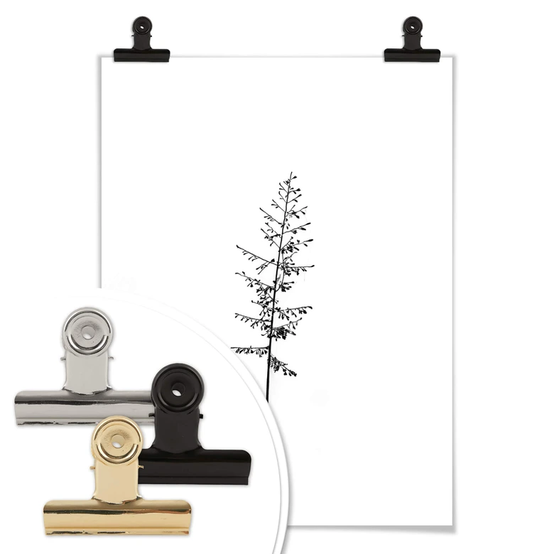 Poster Wiesengräser 