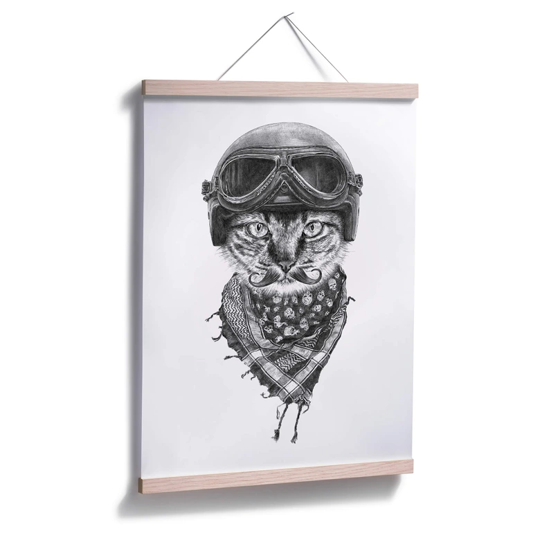 Poster Kools - Biker Cat 