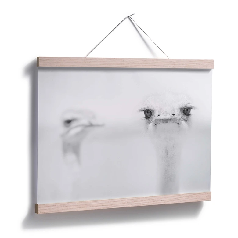 Poster Tonti - Augenblick 