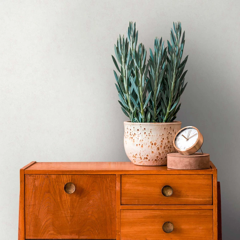 Gris mate - papel pintado moderno de tejido-no tejido gris claro - papel pintado liso 