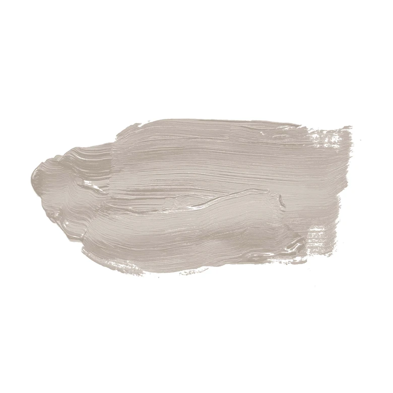 Taupe Wandfarbe seidenmatt I Oyster Mushroom | Atmosphäre zurückhaltender Eleganz schaffend | THE COLOR KITCHEN 