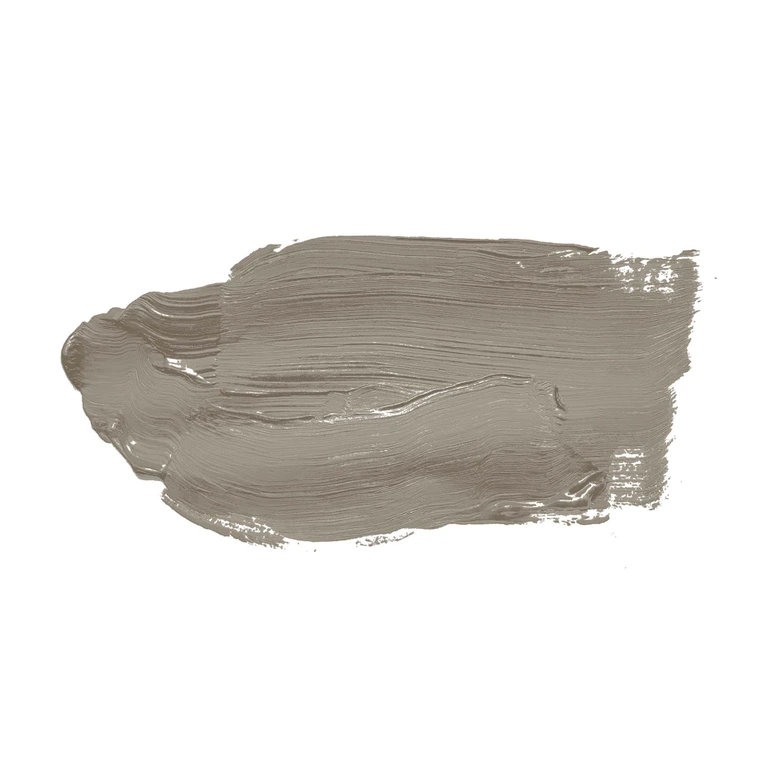 Taupe Wandfarbe seidenmatt I Aesthetic Ajwain | Atmosphäre zurückhaltender Eleganz schaffend | THE COLOR KITCHEN 