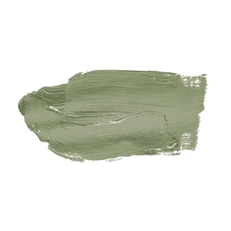 Grün Wandfarbe seidenmatt I Balmy Basil | Raumharmonie schaffend | THE COLOR KITCHEN 