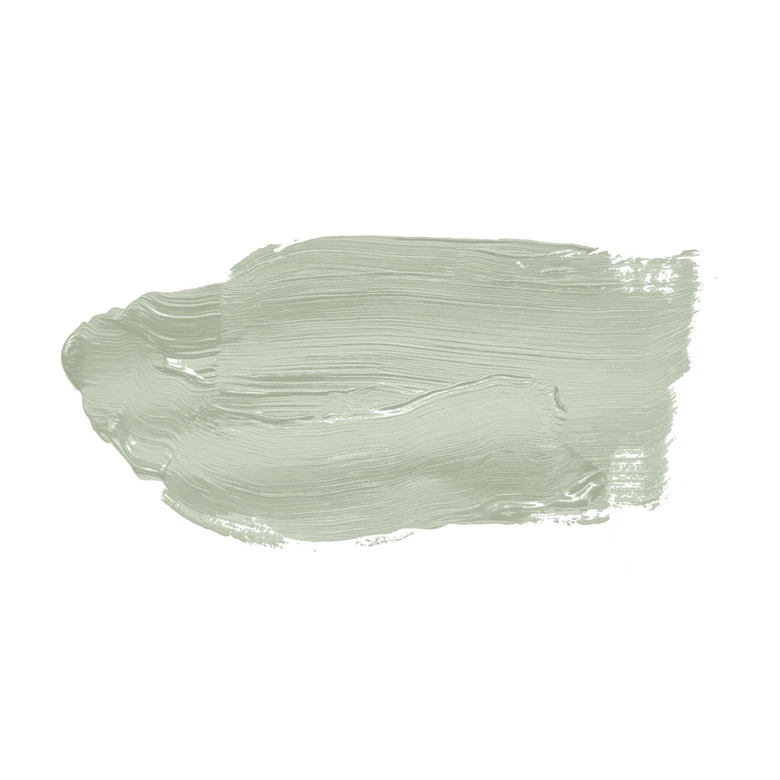 Grün Wandfarbe seidenmatt I Lovely Lime | Raumharmonie schaffend | THE COLOR KITCHEN 
