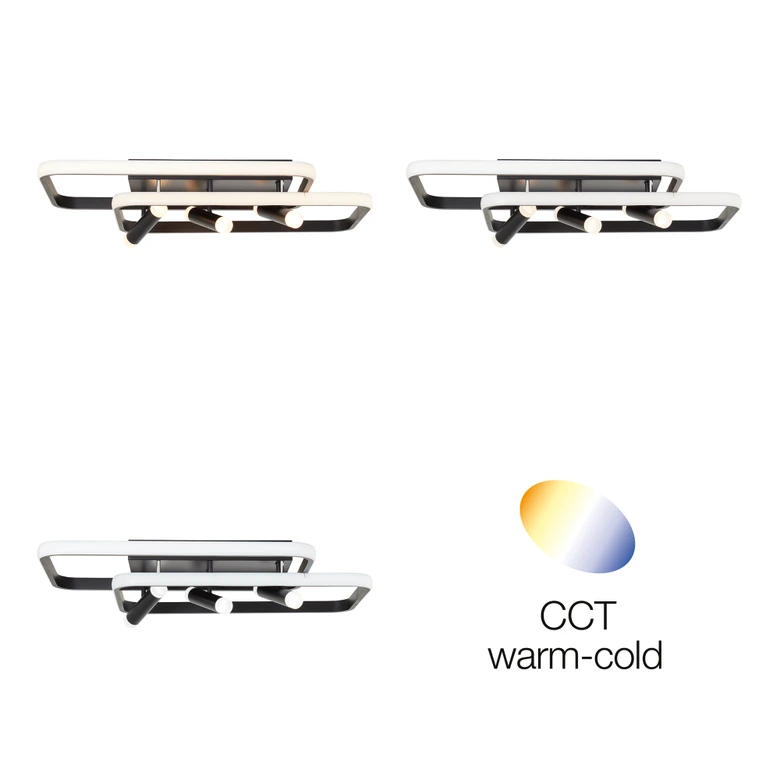 LED-Deckenleuchte Emilio, schwarz, 66 x 45,2 cm, dimmbar 