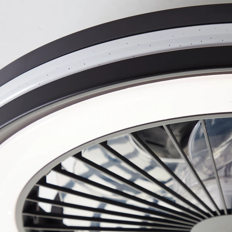 Deckenventilator mit LED-Licht Malea, schwarz, Deckenleuchte 