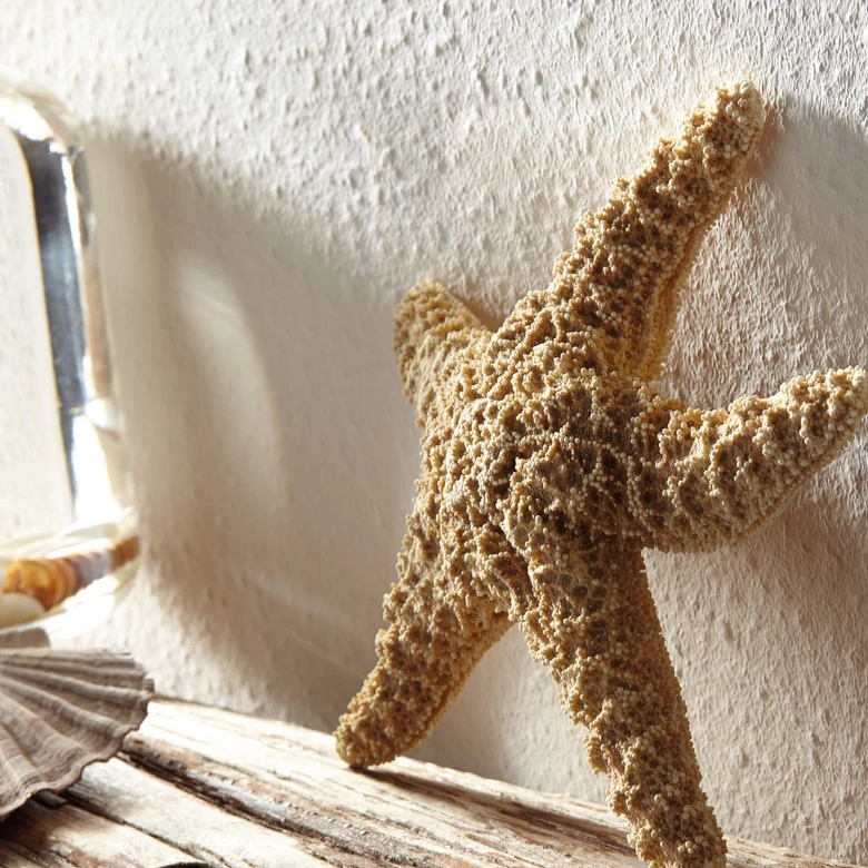 Erfurt Ikke-vævet Fleecetapet Karton med 6 ruller - Sprint  