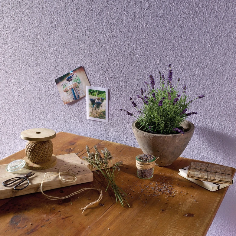 Erfurt ikke-vævet Fleecetapet Karton med 12 ruller - Elegance hvid 