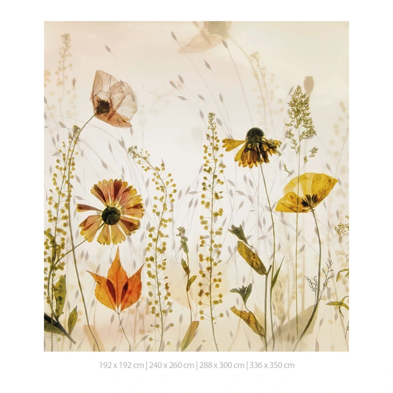 Fototapete Wilde Wiesenblumen im Sonnenlicht | Florale Tapete - Talen 