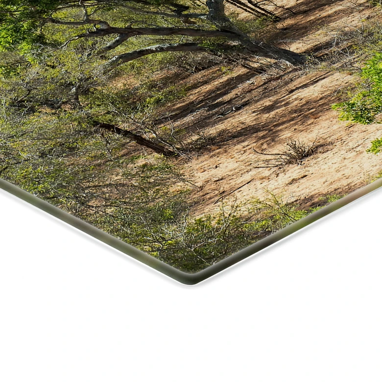 Stove cover plate savannah landscape in Africa - Hugonnard 
