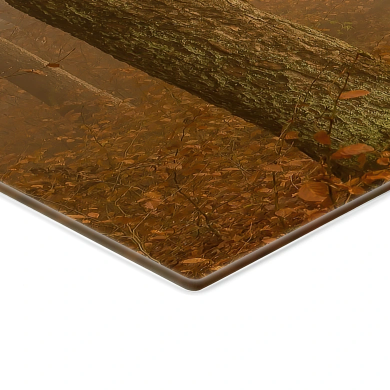 Plaque de recouvrement pour cuisinière Brume et lumière dans la forêt automnale - Maier 