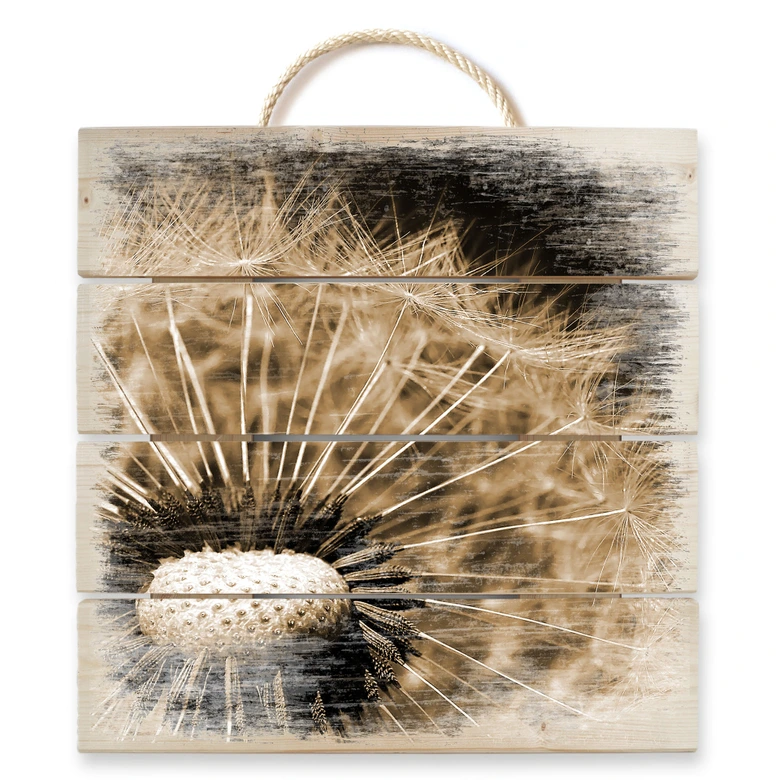 Holzbild Dandelion - 40x41,5 cm 