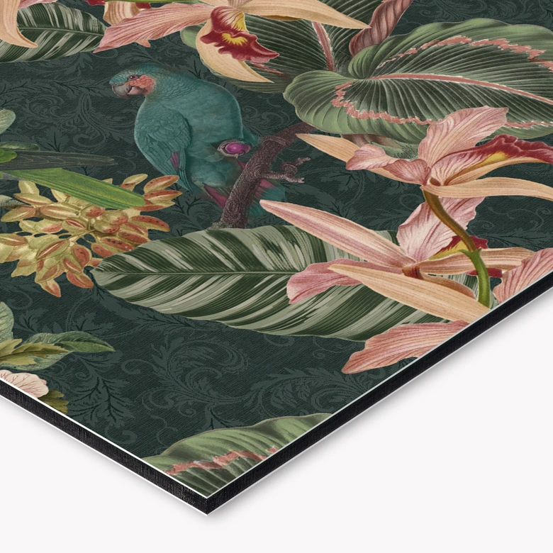 Keukenachterwand jungle met papegaaien nachtgroen - Bloomery Decor 