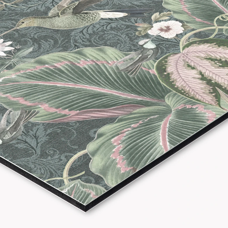 Stænkplade til køkken Kolibri i en tropisk skov - Bloomery Decor 