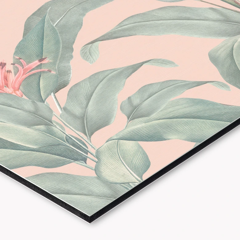 Küchenrückwand Urban Jungle Tropenblätter Rosa - Bloomery Decor 