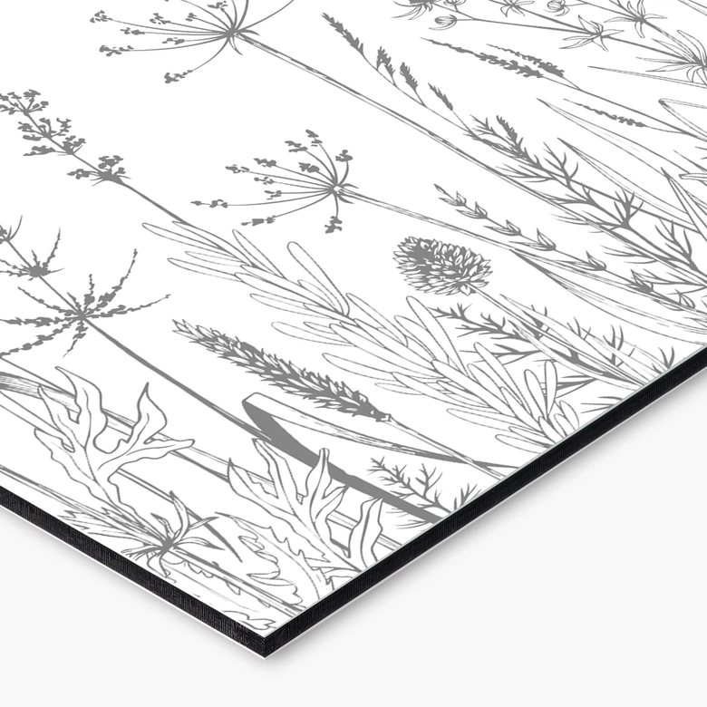 Küchenrückwand Feldblumen Illustration 