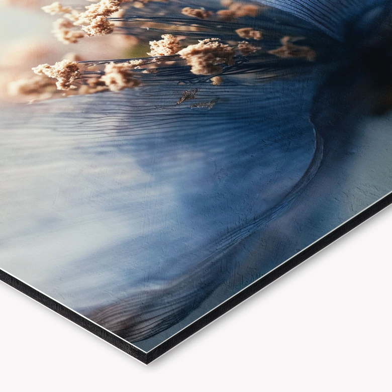 Florale Küchenrückwand Filigrane Trockenblüten im Licht - Treechild 