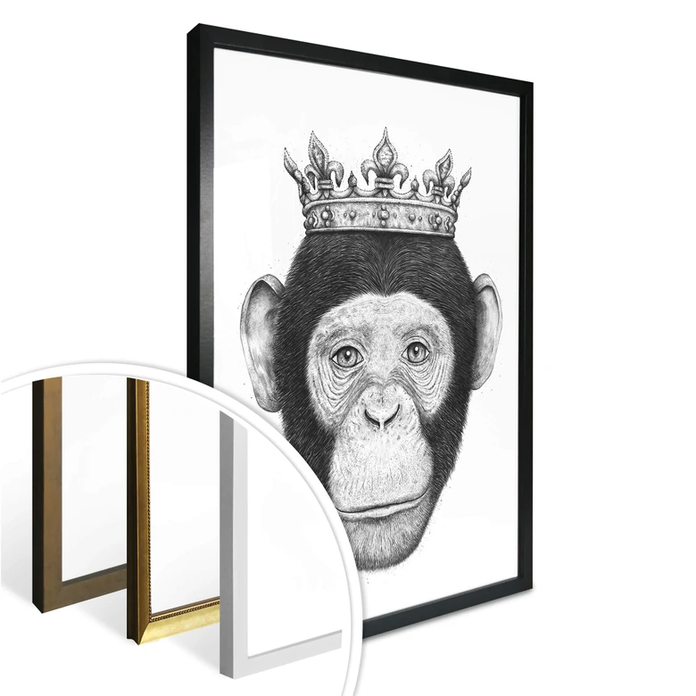 Póster Korenkova - El Rey Mono 
