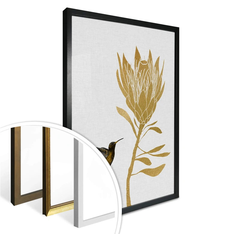 Poster Orara Studio - Hummingbird and Flower 