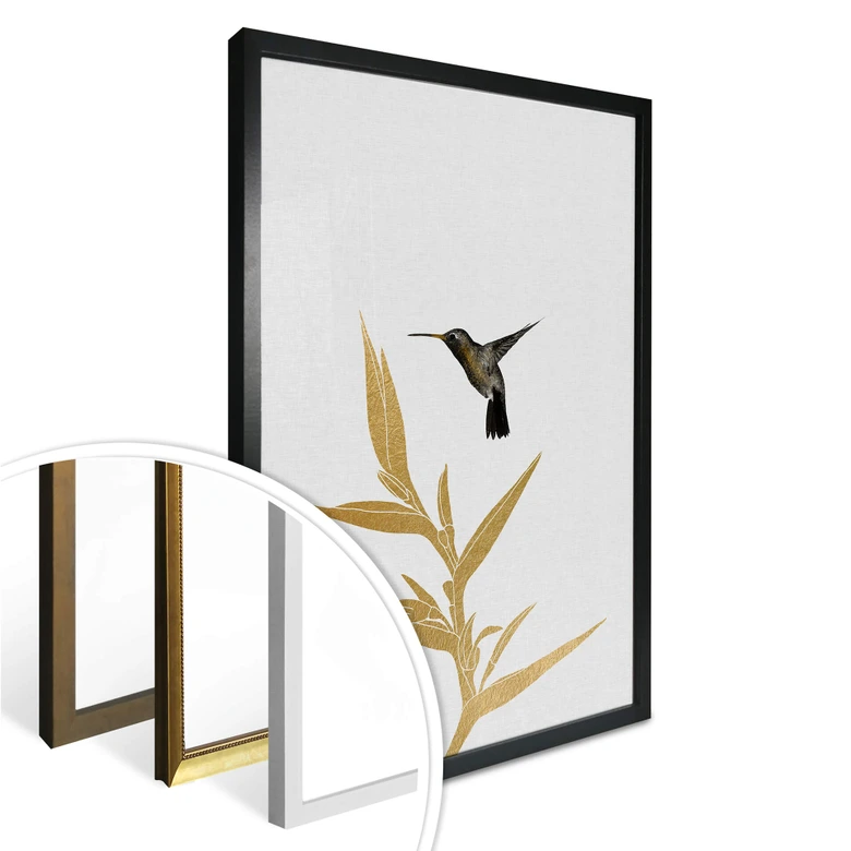 Poster Orara Studio - Hummingbird and Flower - goldene Pflanze 
