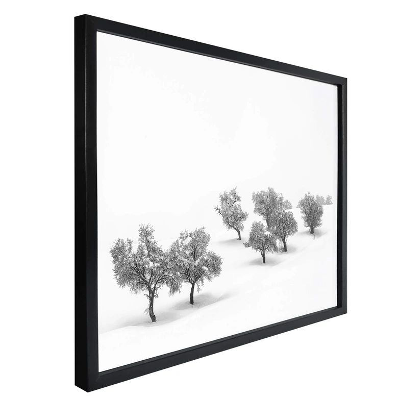 Poster Carrillo Lopez - Weiße Landschaft mit Bäumen 