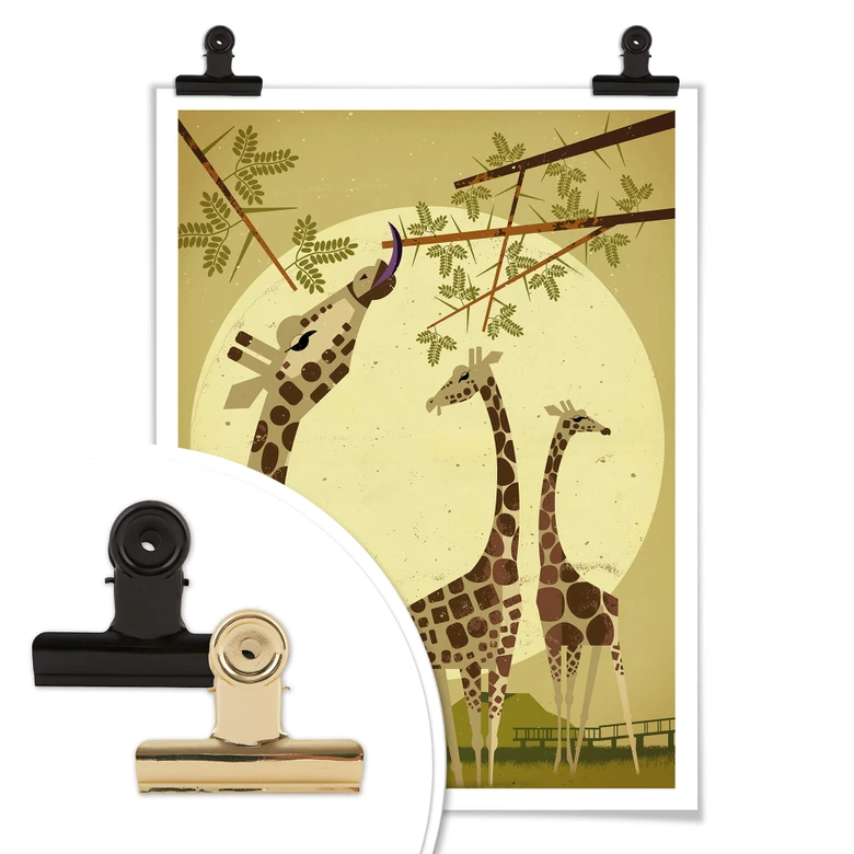 Poster Braun - Giraffes 