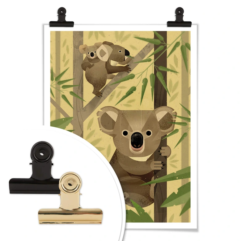 Poster Braun - Koala 