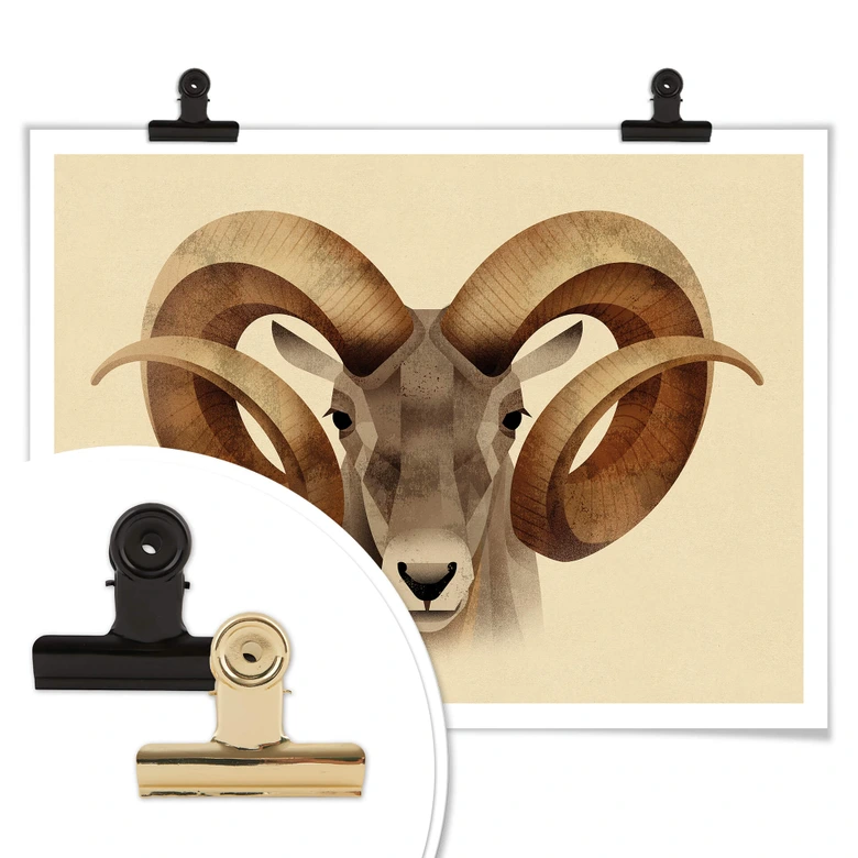 Poster Braun - Urial 