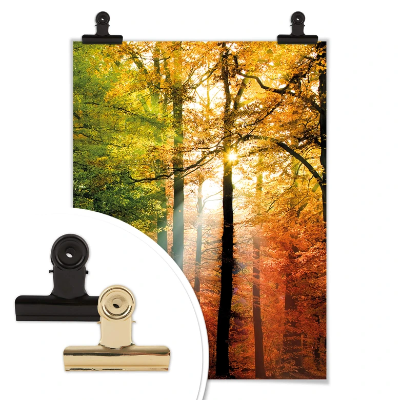 Poster - Goldener Herbst  