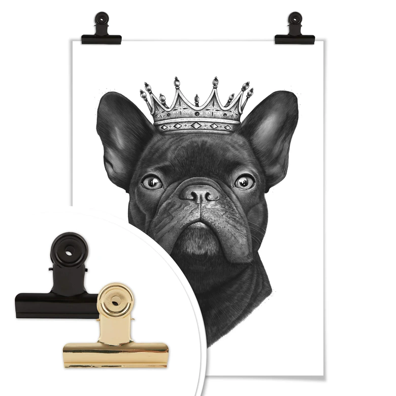 Poster Korenkova - King fransk bulldogg 
