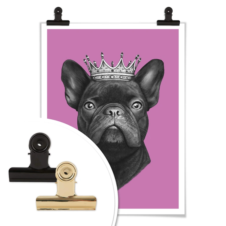 Poster Korenkova - King French Bulldog pink 