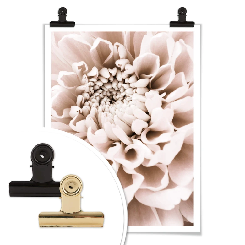Poster 1X Studio - Chrysantheme 