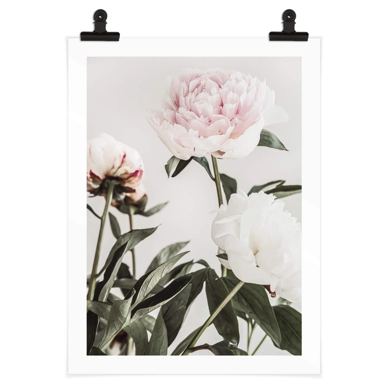 Póster 1X Studio - Tres peonías en flor 