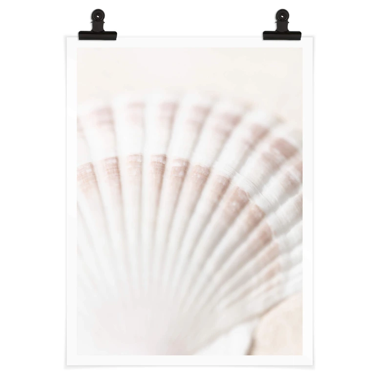 Poster 1X Studio - Jakobsmuschel 