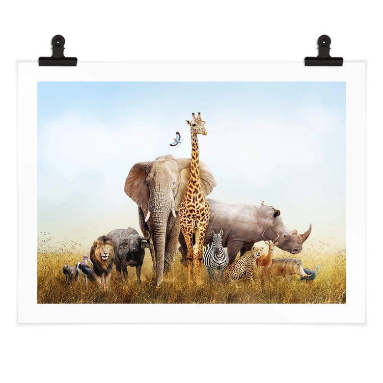 Poster Animaux africains 