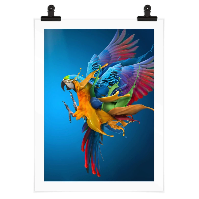 Poster Almawash - Der Papagei und das Farbenspiel 