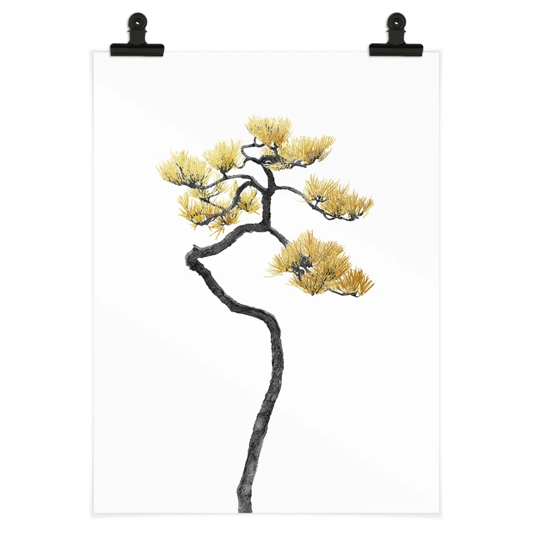 Poster Bonsai in Balance - Amini  