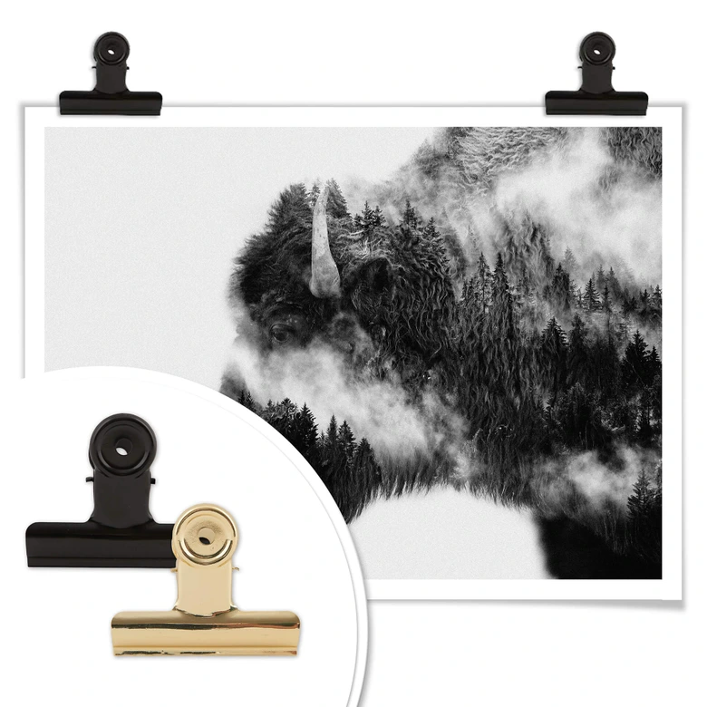 Poster Angyalosi - Bison 