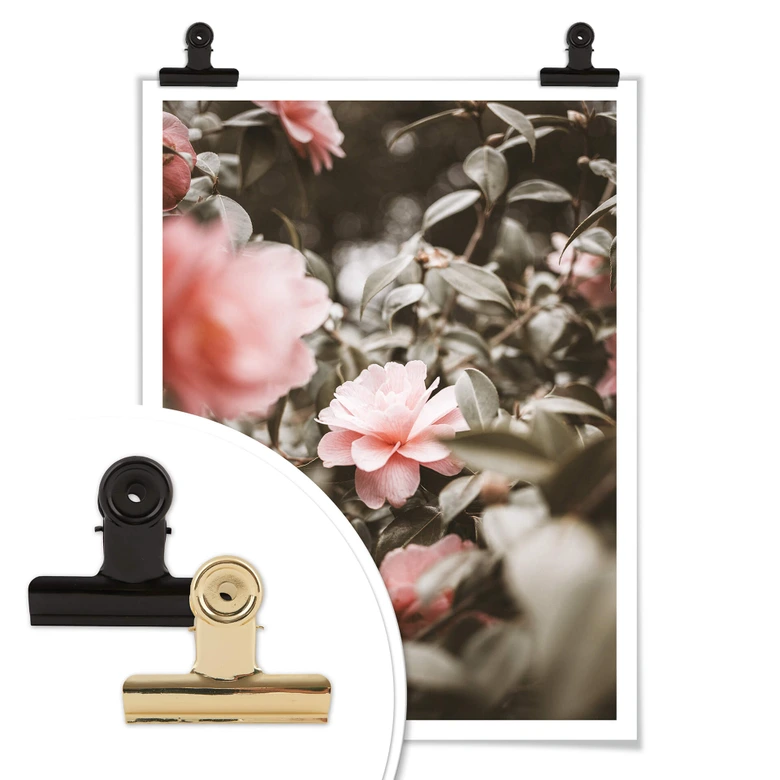 Poster Annie - Rosenblüte 