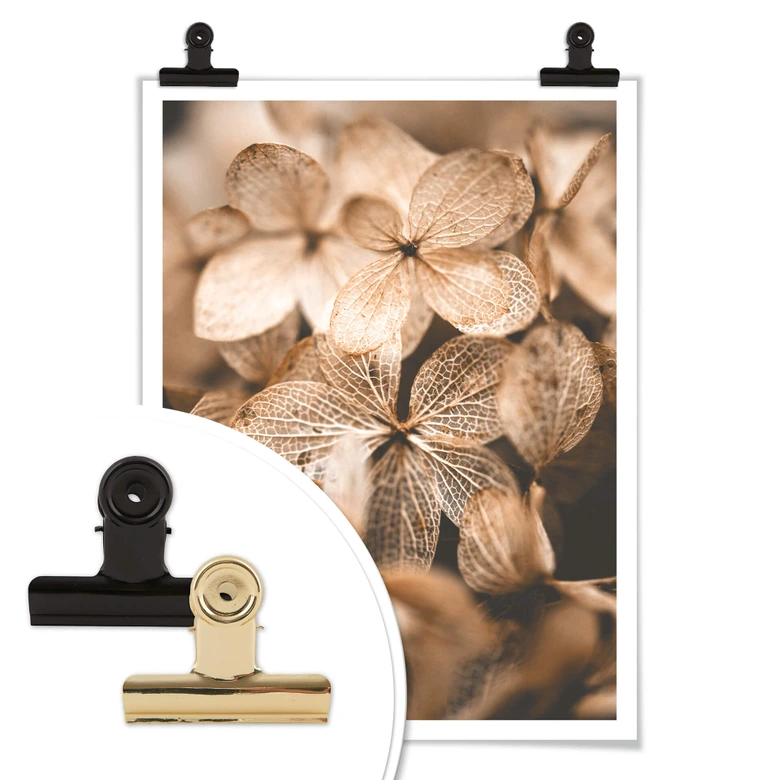 Plakat - Annie - Delicate Flowers 