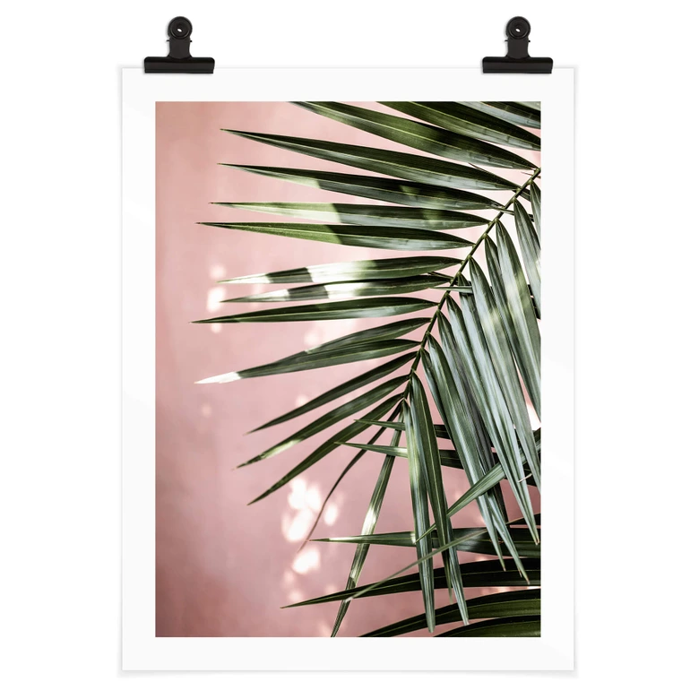 Poster Palmenblatt vor rosa Wand - Böhmer 