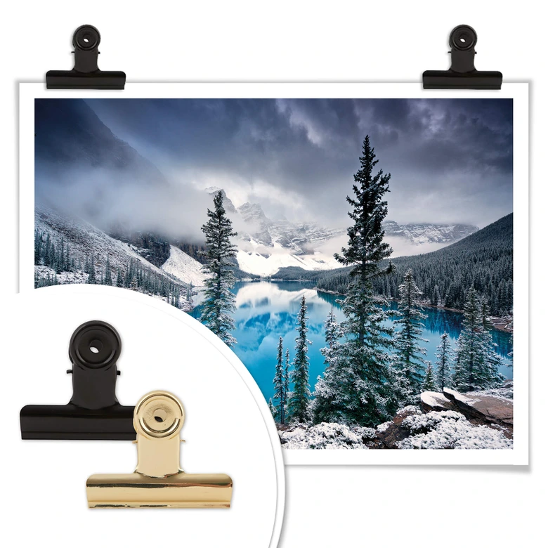 Poster Cole - Blue Morning 