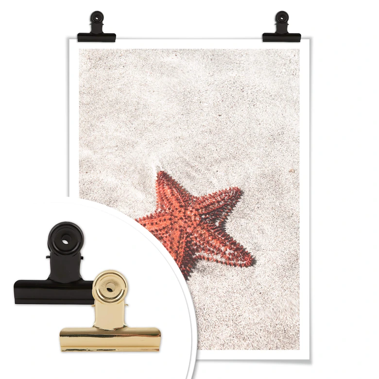 Póster Colombo - Estrella de mar roja 