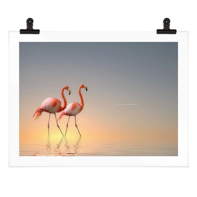 Poster Cseresnjes - Flamingos im Abendlicht 