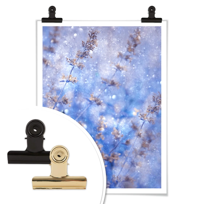 Poster Devos - Früher Winter 