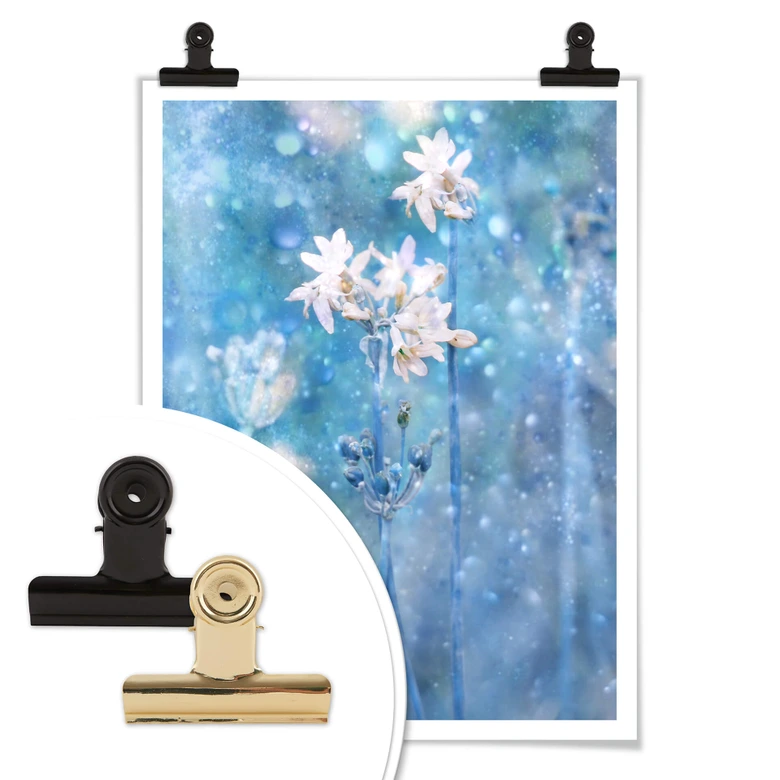 Poster Devos - Magie der Natur 